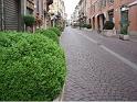corso roma
